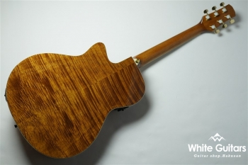 R-021 - Tobacco Sunburst